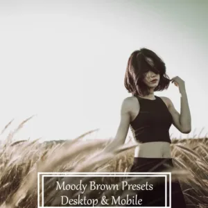 moody brown presets