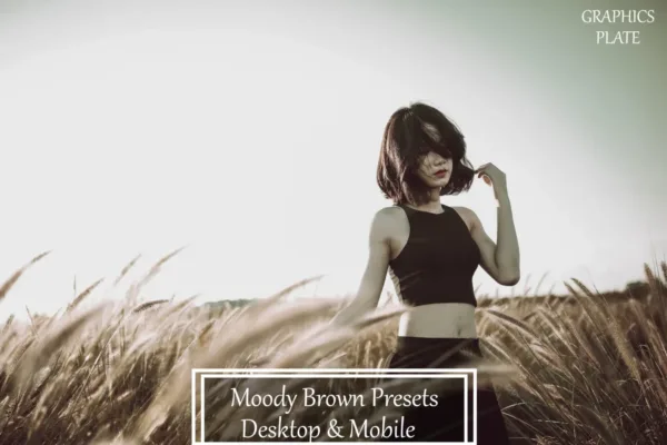 moody brown presets