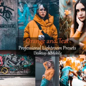 premium presets