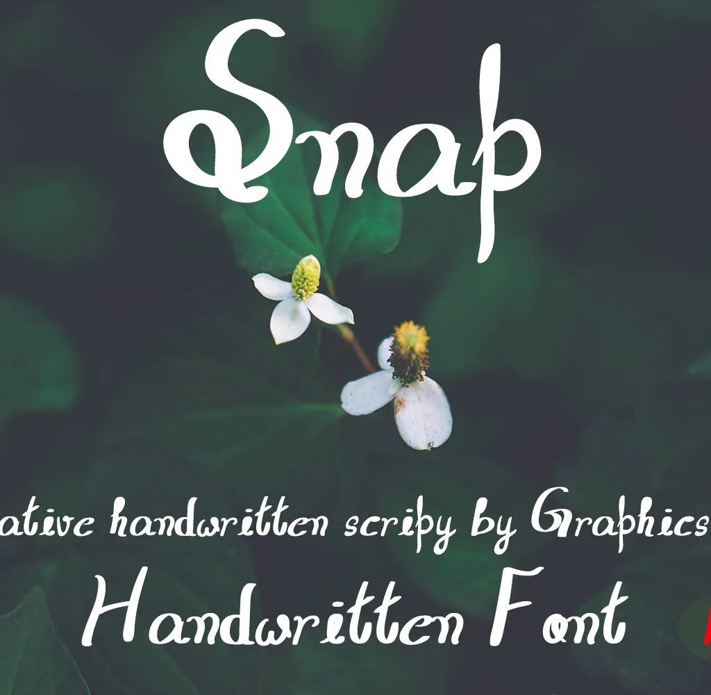 Professional Font Styles Name