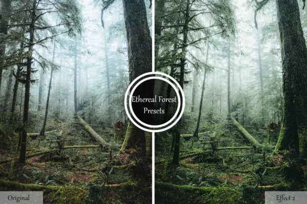 ethereal forest preset