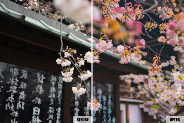pastel Lightroom filters