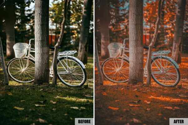 Lightroom Presets
