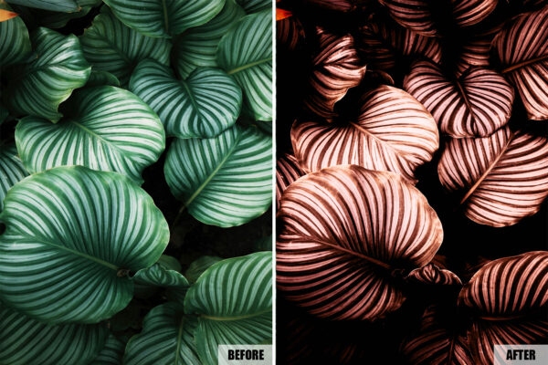 lightroom presets