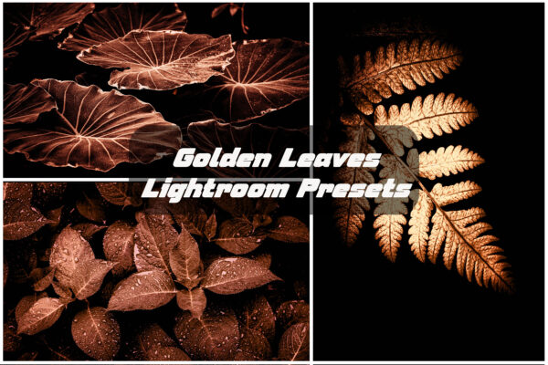Golden Leaf Lightroom Presets